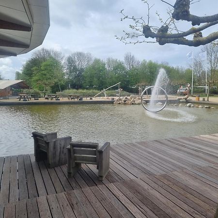 Ferienwohnung Direkt Am Strand In Makkum Dış mekan fotoğraf