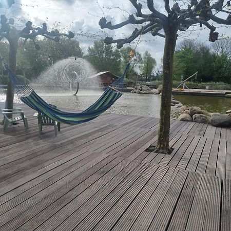 Ferienwohnung Direkt Am Strand In Makkum Dış mekan fotoğraf