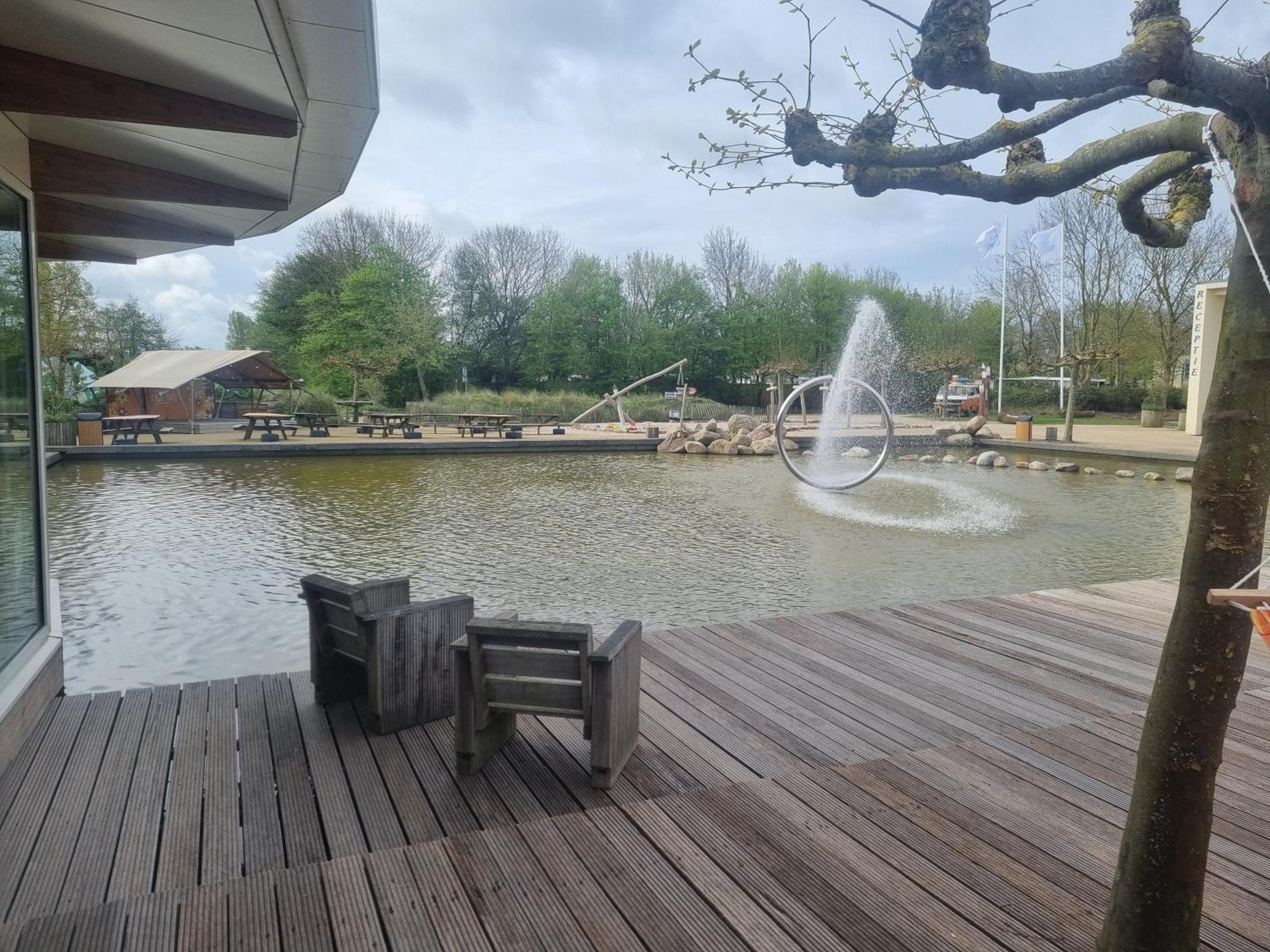 Ferienwohnung Direkt Am Strand In Makkum Dış mekan fotoğraf